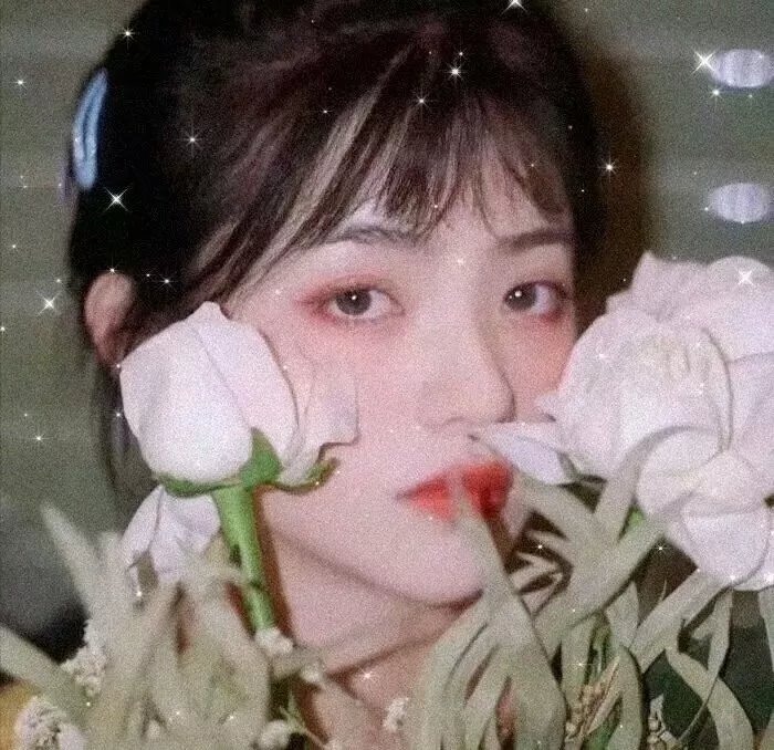 追鹰日记